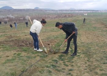Naxçıvanda məcburi iməcilik – iştirak etməyənlərin maaşından kəsilir, işdən qovulmaqla hədələnir