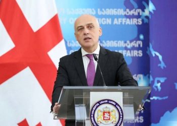 Gürcüstanın xarici işlər naziri istefa verib