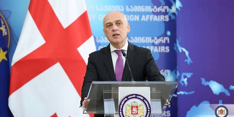 Gürcüstanın xarici işlər naziri istefa verib